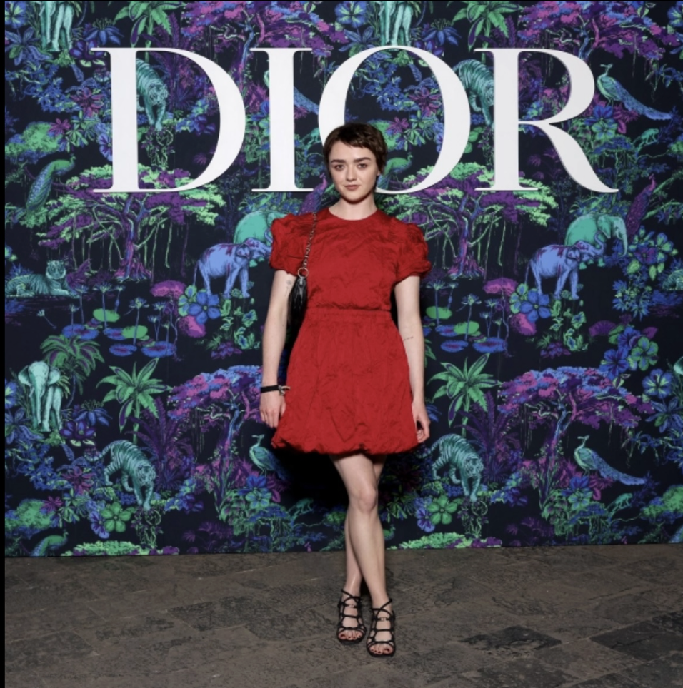 Дом Dior показал коллекцию сезона осень 2023 в Индии